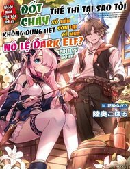 Ie ga Moete Jinsei Dou Demo Yoku Natta kara, Nokotta Nakenashi no Kin de Dark Elf no Dorei o Katta