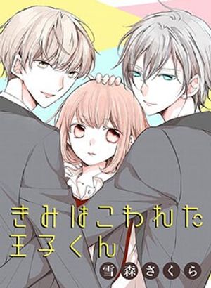 Truyện Tranh Kimi wa Kowareta Ouji-kun