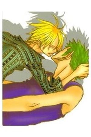 Truyện Tranh Vua Cướp Biển DJ - Zoro và Sanji